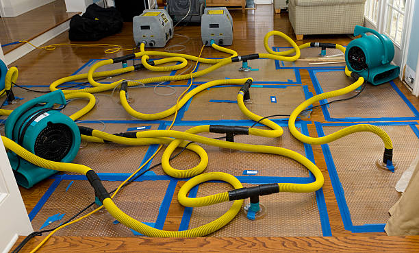 Professional Sewage Cleanup technician working in Bancroft, MI